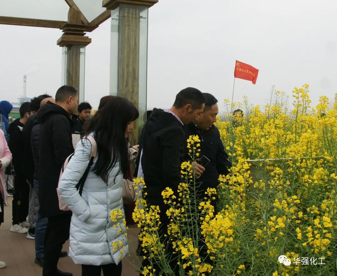 Huaqiang chemical group experimental field