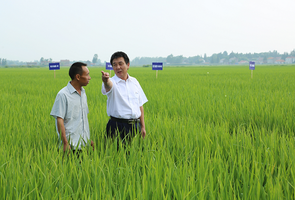 农化服务人员指导农民科学用肥.png